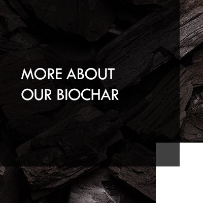 Biochar-start-l-pyropower-GmbH