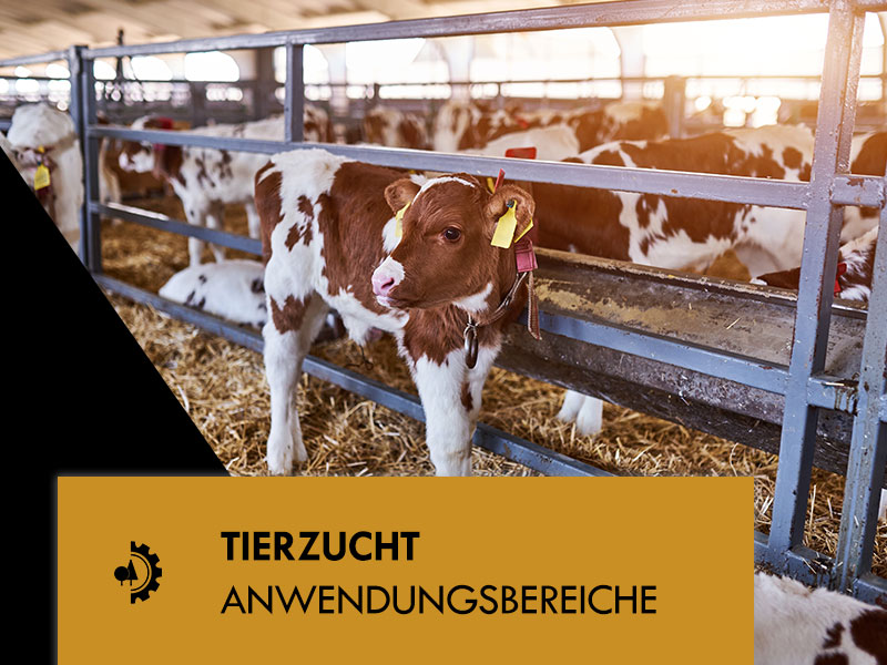 Tierzucht-Anwendungsbereiche-Pflanzenkohle-l-pyropower-GmbH