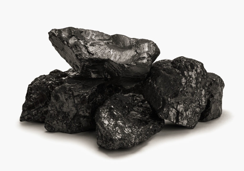Pieces of biochar