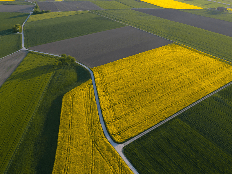 EBC-Agro Pflanzenkohle