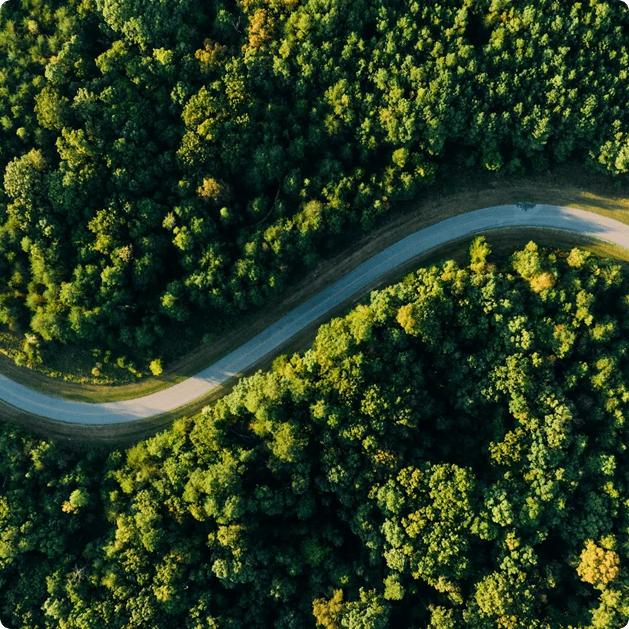 Luftaufnahme einer Straße, die sich durch dichten Wald schlängelt