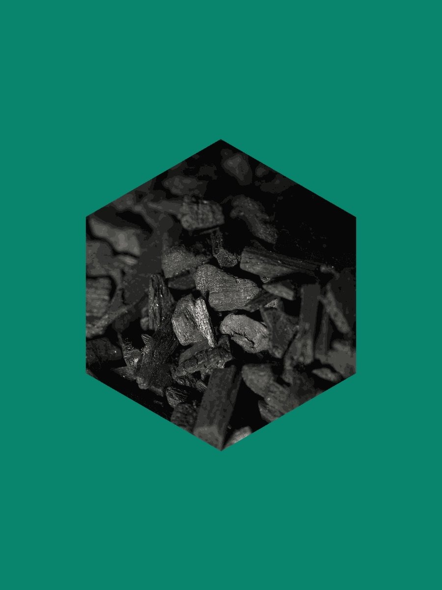 Pflanzenkohle aus Pyro-Hex 1000