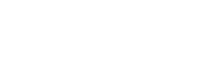 Logo Der Tagesspiegel