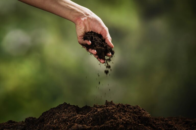 Hand letting soil trickle onto a pile