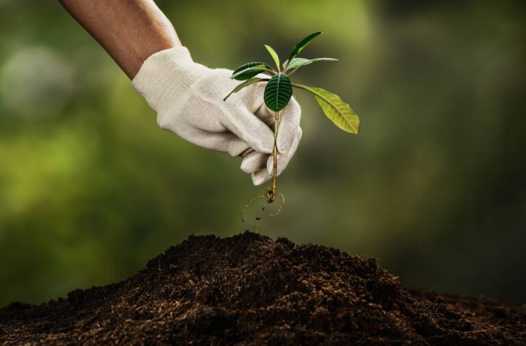 Soils and growing media