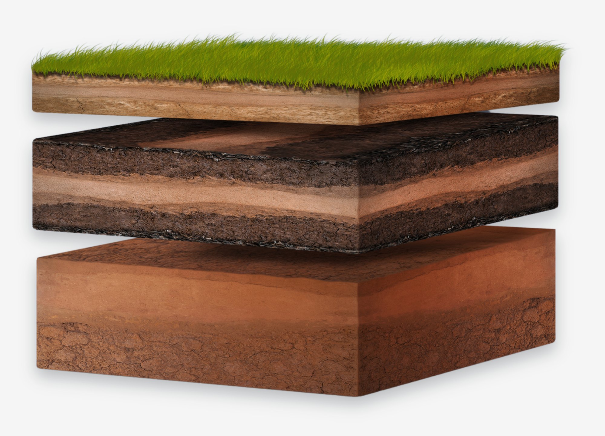 Cross-section of a soil profile with turf