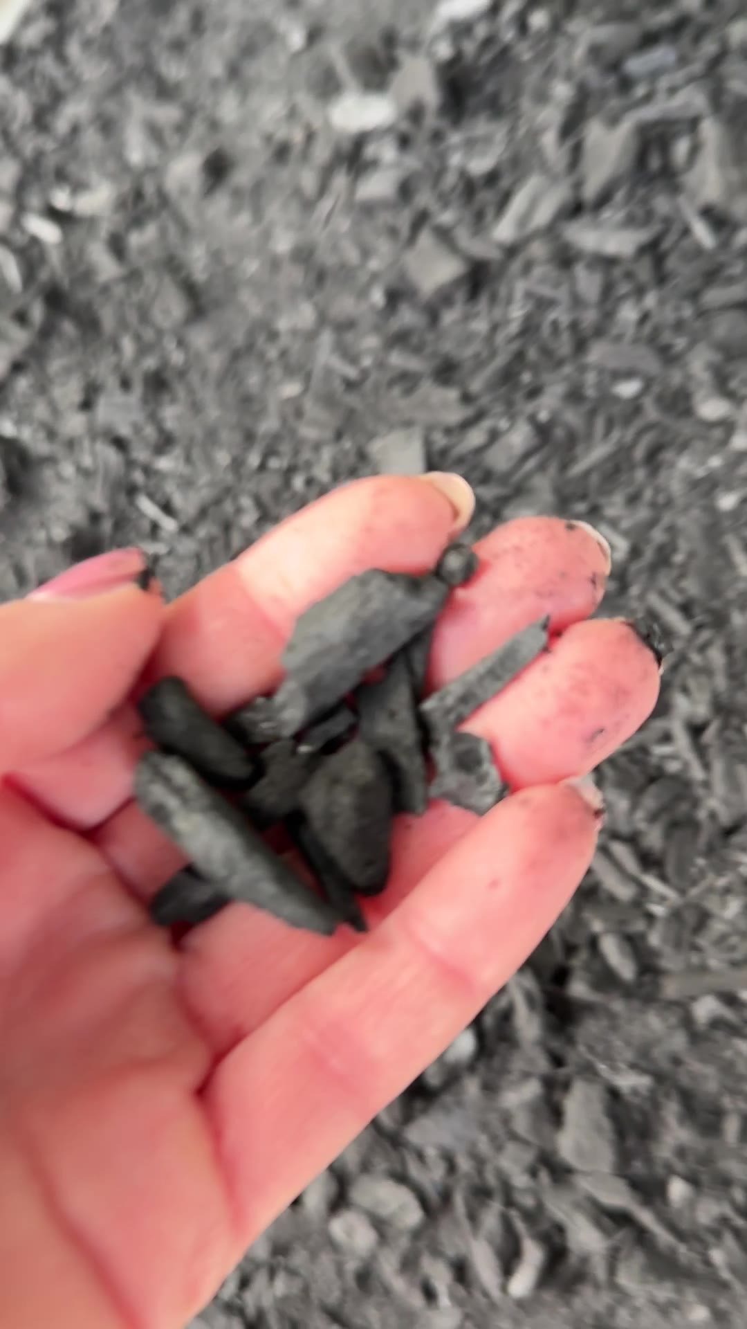 Pflanzenkohle aus der Pyrolyse in der Hand