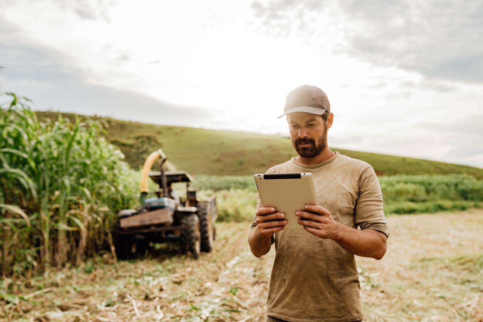 Landwirt mit Tablet am Feld
