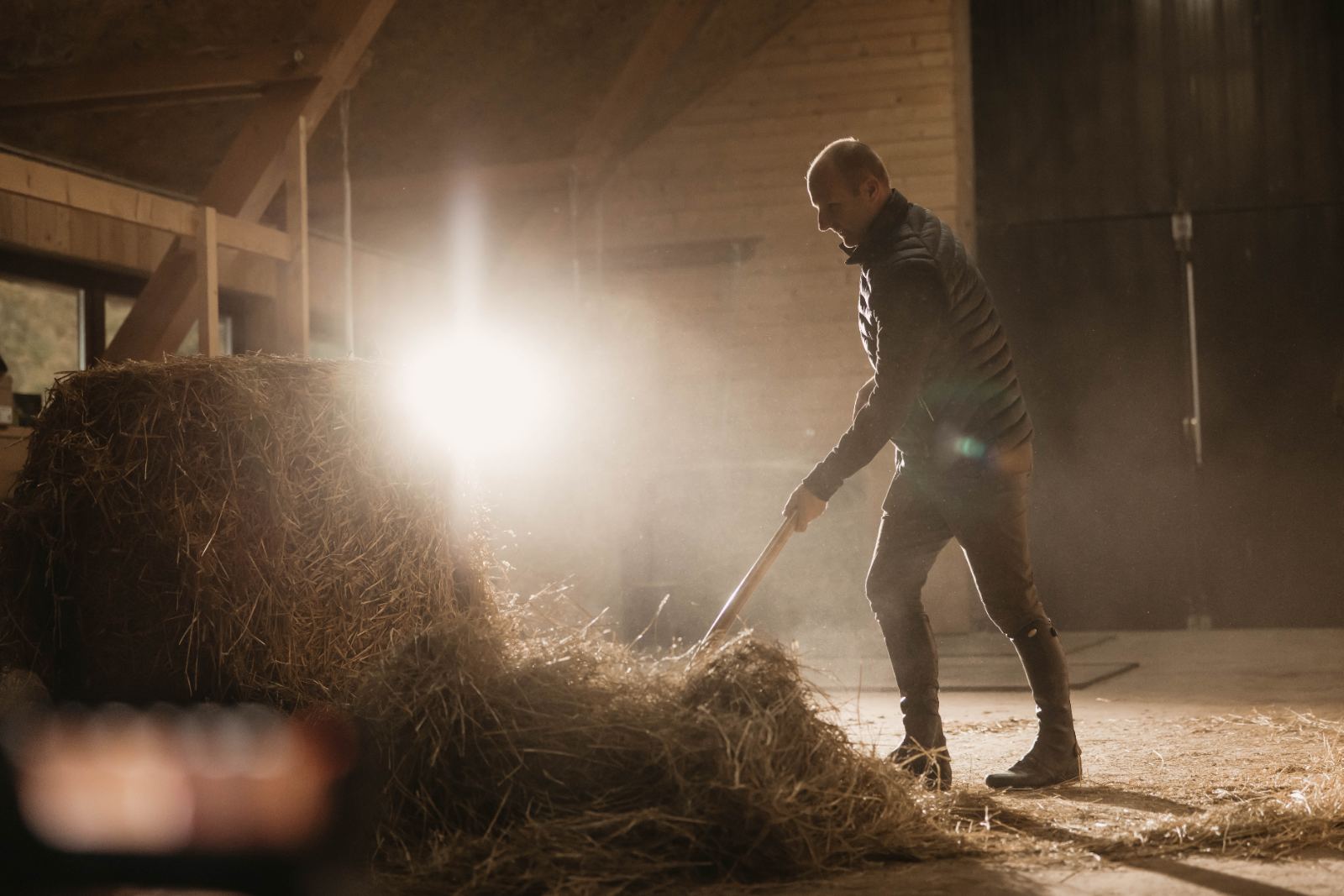 Einstreu im Stall im Gegenlicht