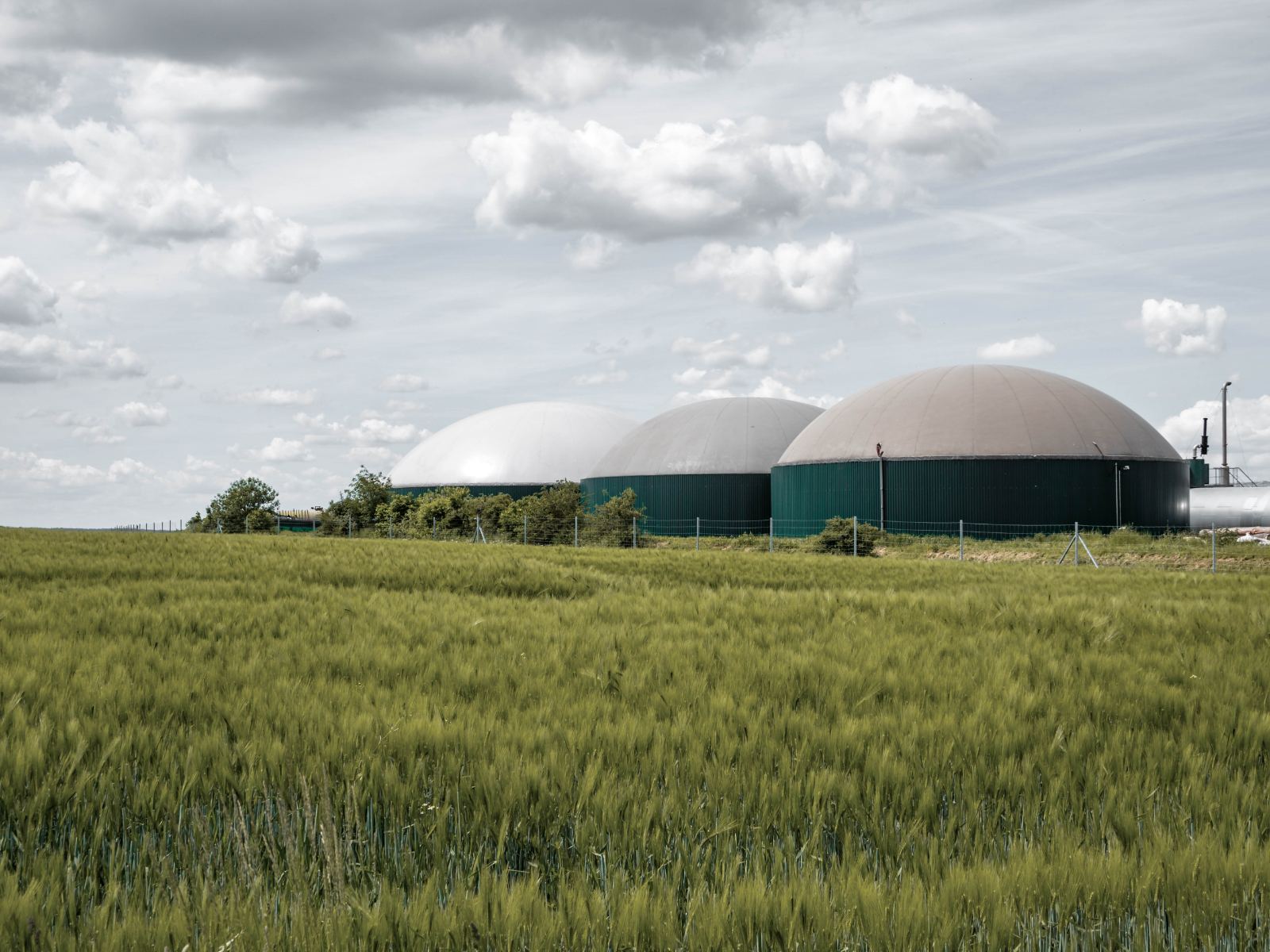 Biogasanlage zwischen Feldern
