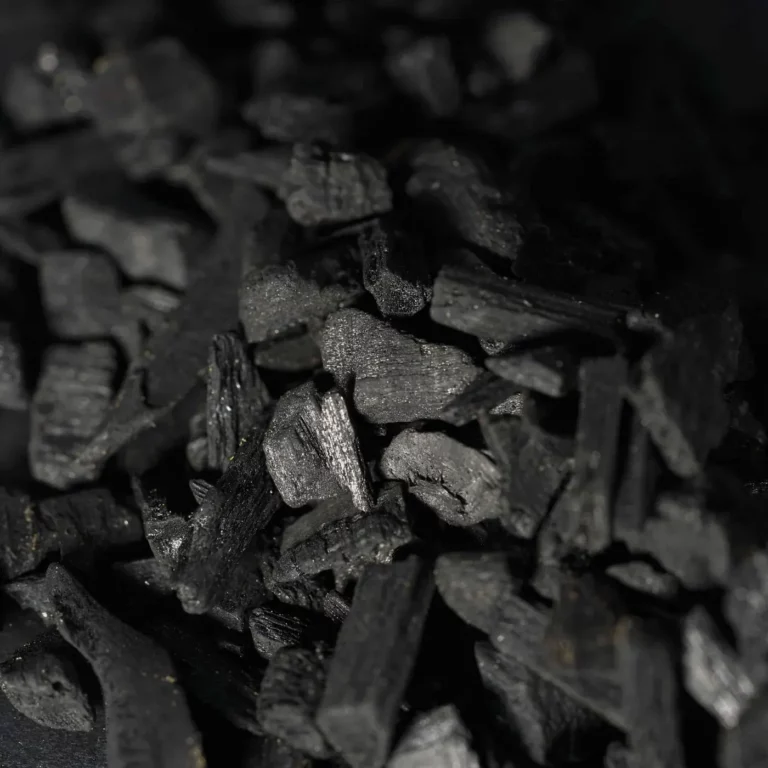 Pieces of biochar