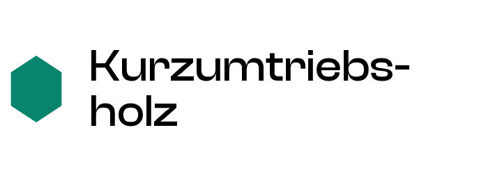 Kurzumtriebsholz