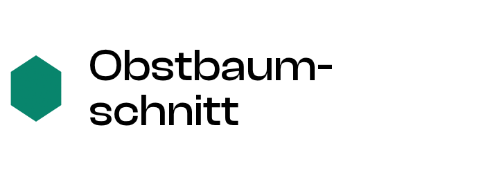 Obstbaumschnitt