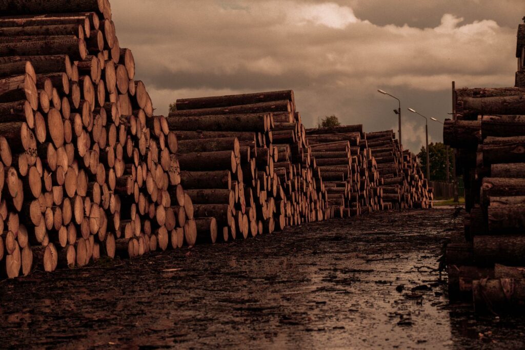 Rundholzlager eines holzverarbeitenden Betriebs